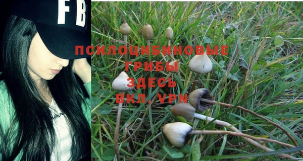 тгк Магас