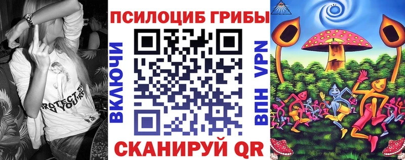 купить   Малоархангельск  Галлюциногенные грибы Psilocybe 